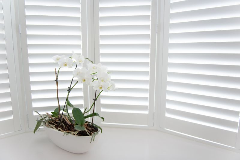 Louvered Shutters Installation in Alpharetta, GA